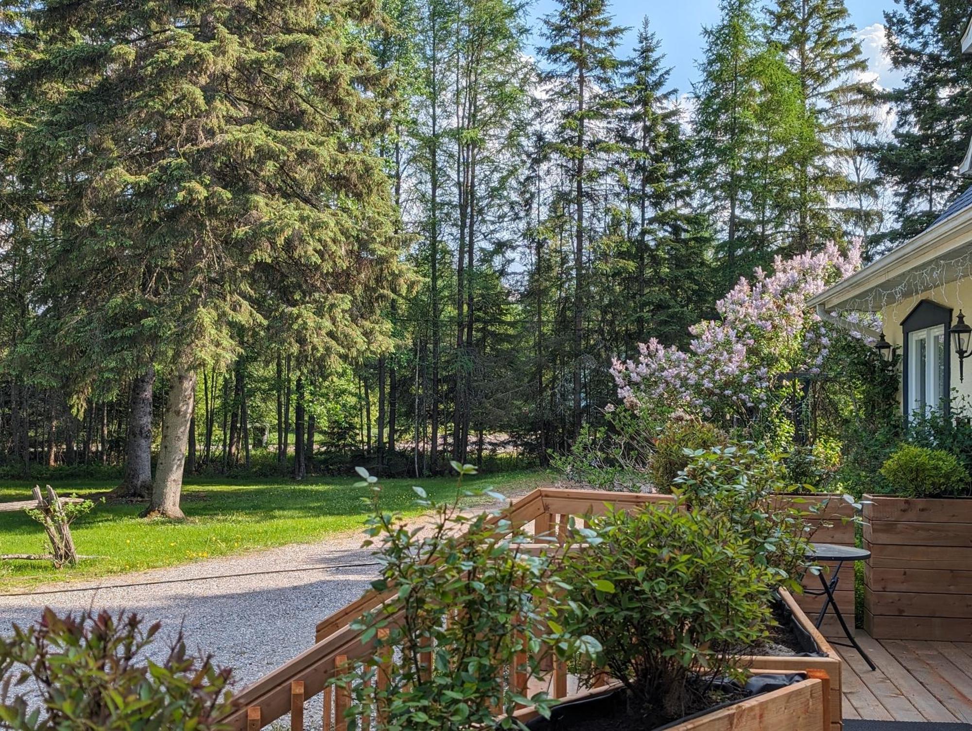 La Tremblante Acomodação com café da manhã Mont-Tremblant Exterior foto