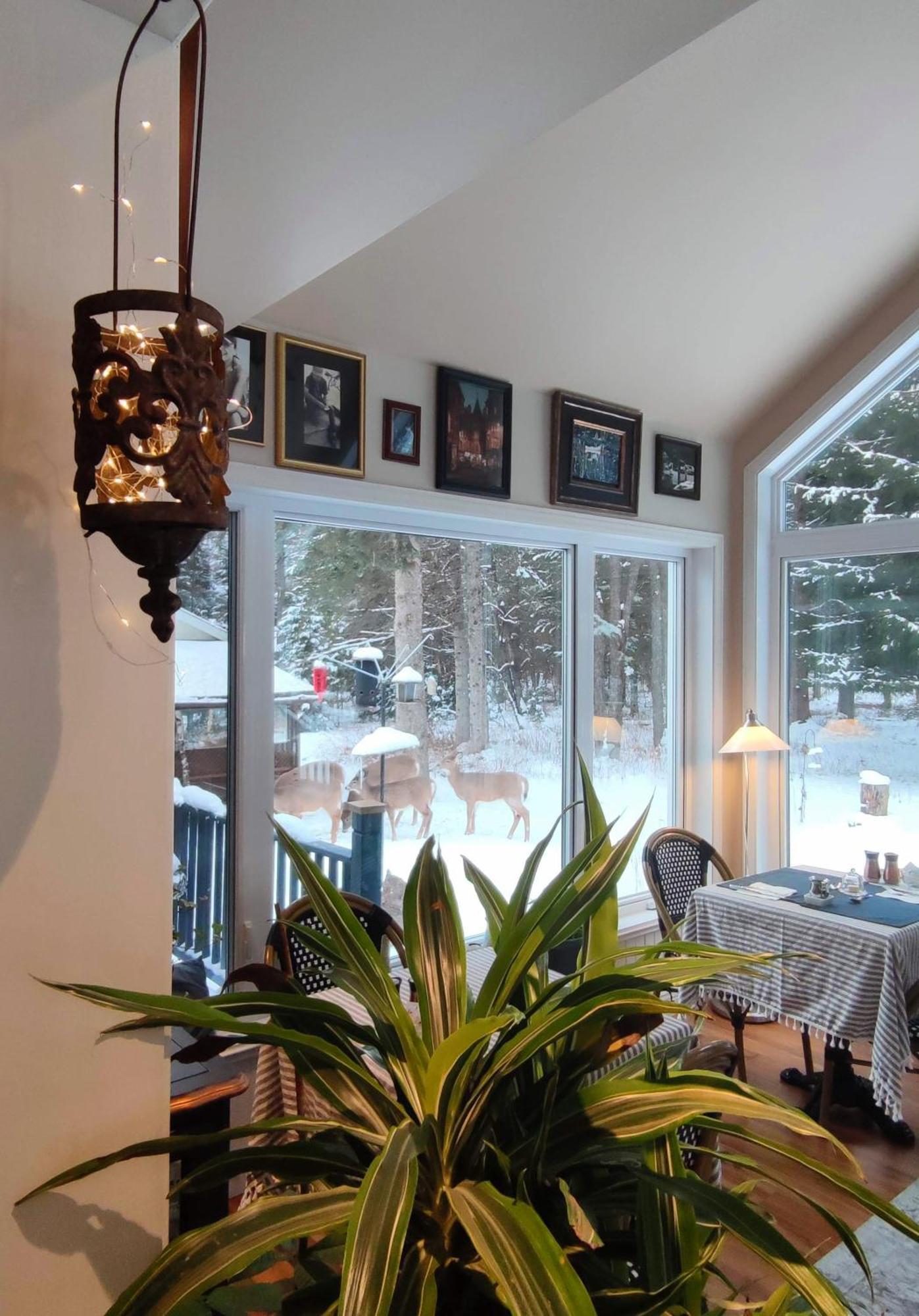 La Tremblante Acomodação com café da manhã Mont-Tremblant Exterior foto