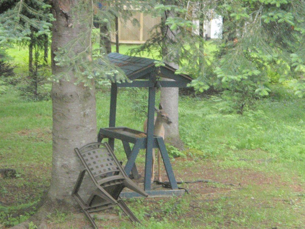La Tremblante Acomodação com café da manhã Mont-Tremblant Exterior foto